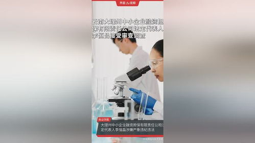 云南大理州中小企業(yè)融資擔(dān)保公司高管被查，中小企業(yè)融資生態(tài)引關(guān)注